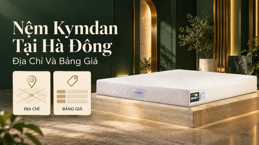 Nệm Kymdan Tại Hà Đông: Địa Chỉ Và Bảng Giá 1 Nệm Kymdan Tại Hà Đông: Địa Chỉ Và Bảng Giá