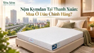 Nệm Kymdan Tại Thanh Xuân: Mua Ở Đâu Chính Hãng?