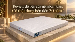 Review độ bền của nệm Kymdan. Có thật dùng bền đến 30 năm?