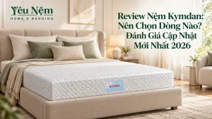 Review Nệm Kymdan: Nên Chọn Dòng Nào? Đánh Giá Cập Nhật Mới Nhất 2026