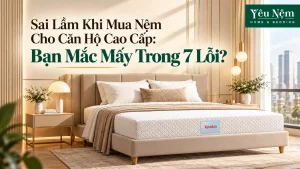 Sai Lầm Khi Mua Nệm Cho Căn Hộ Cao Cấp: Bạn Mắc Mấy Trong 7 Lỗi?