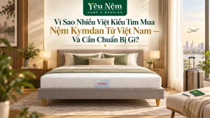 Vì Sao Nhiều Việt Kiều Tìm Mua Nệm Kymdan Từ Việt Nam — Và Cần Chuẩn Bị Gì?