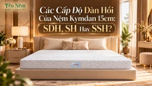 Các Cấp Độ Đàn Hồi Của Nệm Kymdan 15cm: SDH, SH Hay SSH?