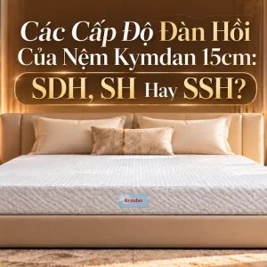 Các Cấp Độ Đàn Hồi Của Nệm Kymdan 15cm: SDH, SH Hay SSH?
