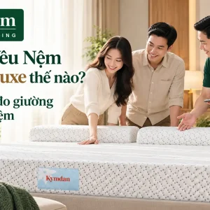 Khách Yêu Nệm chọn Deluxe thế nào? Nhật ký từ đo giường đến nhận nệm