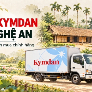 Nệm Kymdan Tại Nghệ An: Bảng Giá Và Cách Mua Chính Hãng