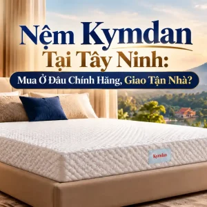 Nệm Kymdan Tại Tây Ninh: Mua Ở Đâu Chính Hãng, Giao Tận Nhà?